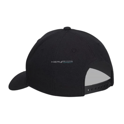 Engelbert Strauss baseball sapka